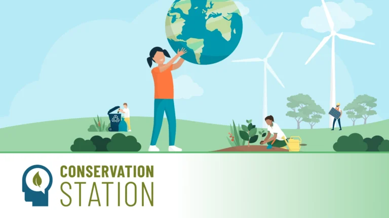 CONSTATION CEP Image Card 1280x720