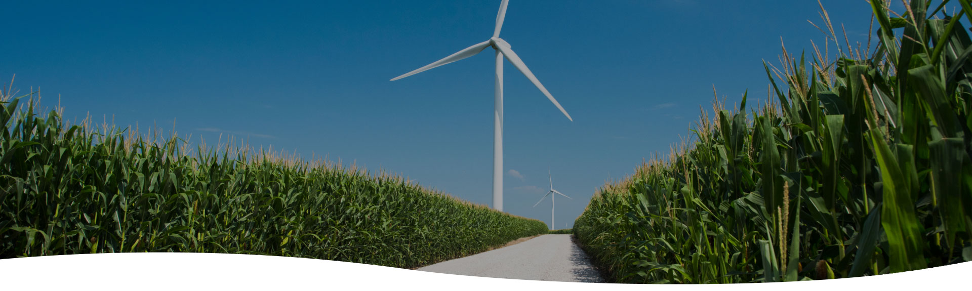 Iowa Scale Up Your STEM Discovery Education