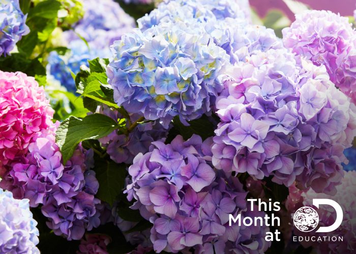 timely relevant tmade may 2023