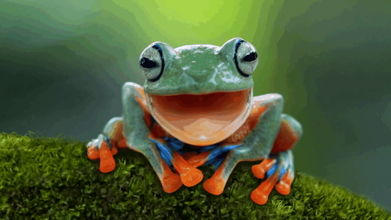 LEGO Amphibians VFT DE Thumbnail 700x500 2x