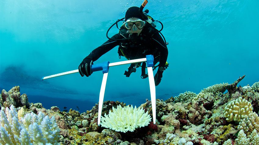 STEM Connect Ocean q60 jpg