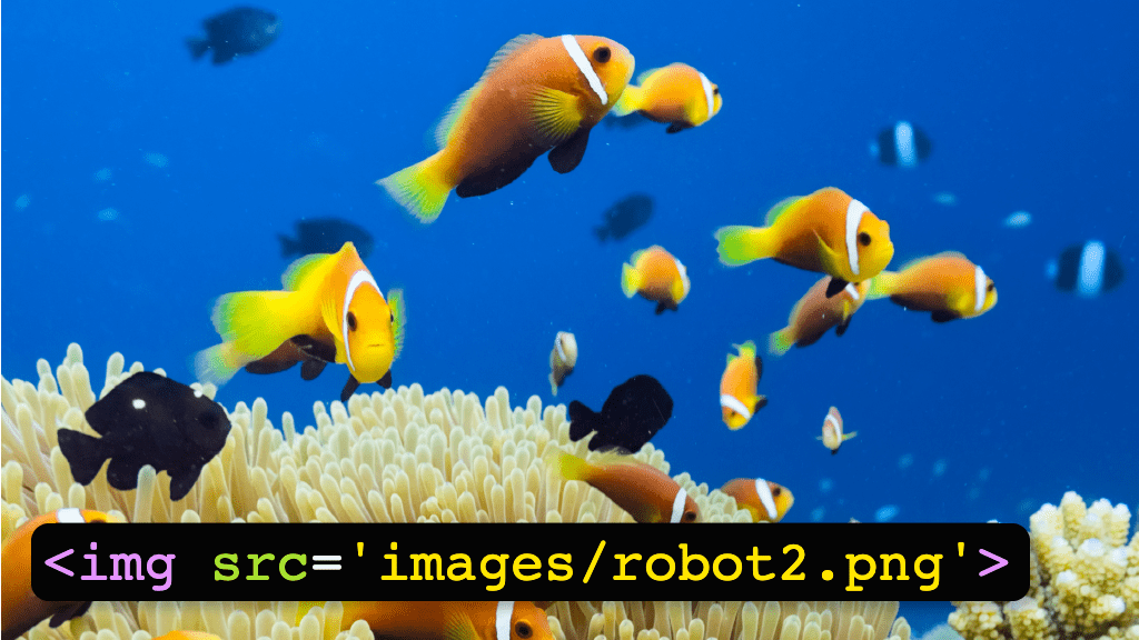 l2 coding lessonsample AddingImages 1000x563 1 png
