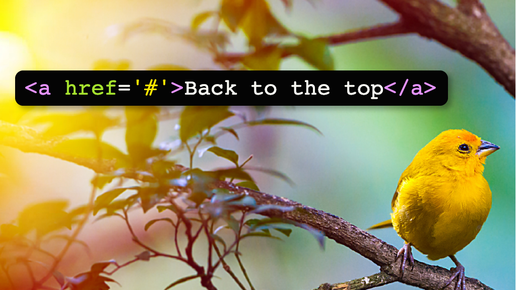 l2 coding lessonsample LinksWithinPages 1000x563 1 png