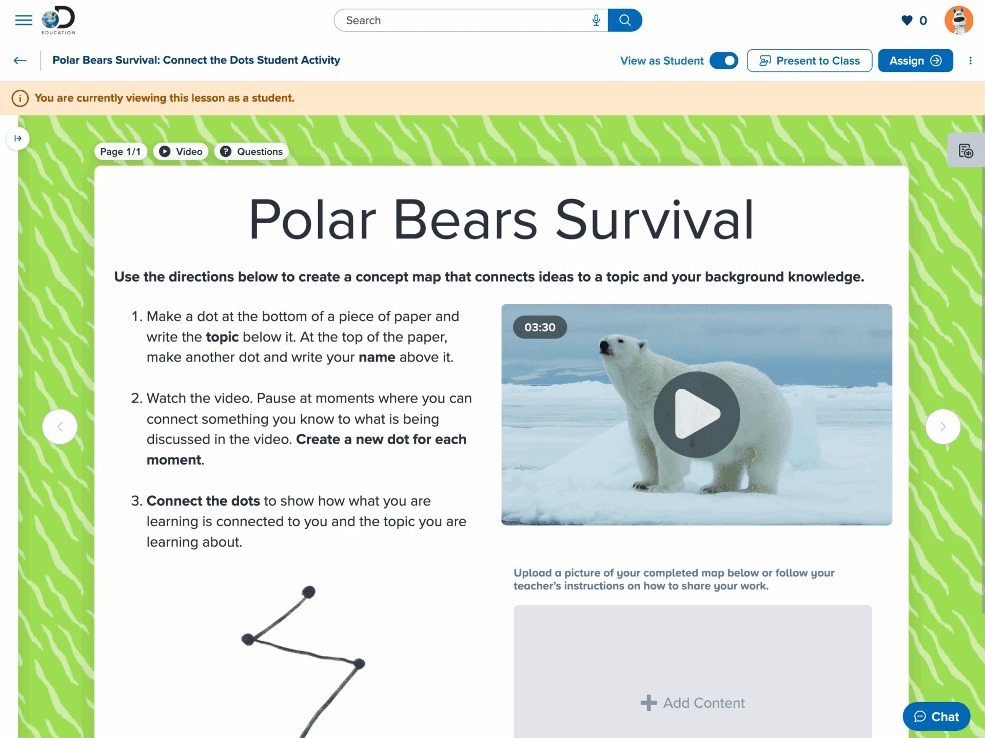 de pbi polar bears survival screenshot