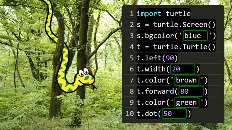 l2 coding lessonsample PythonTutorials 1000x563 1 jpg