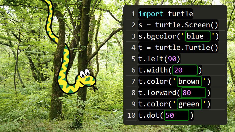 l2 coding lessonsample PythonTutorials 1000x563 1 jpg