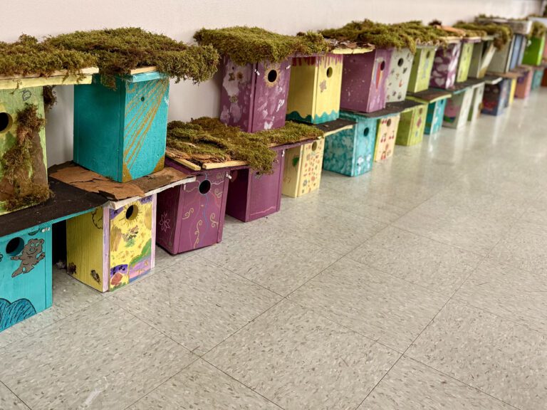 Partner Story SOuth Buffalo Experience