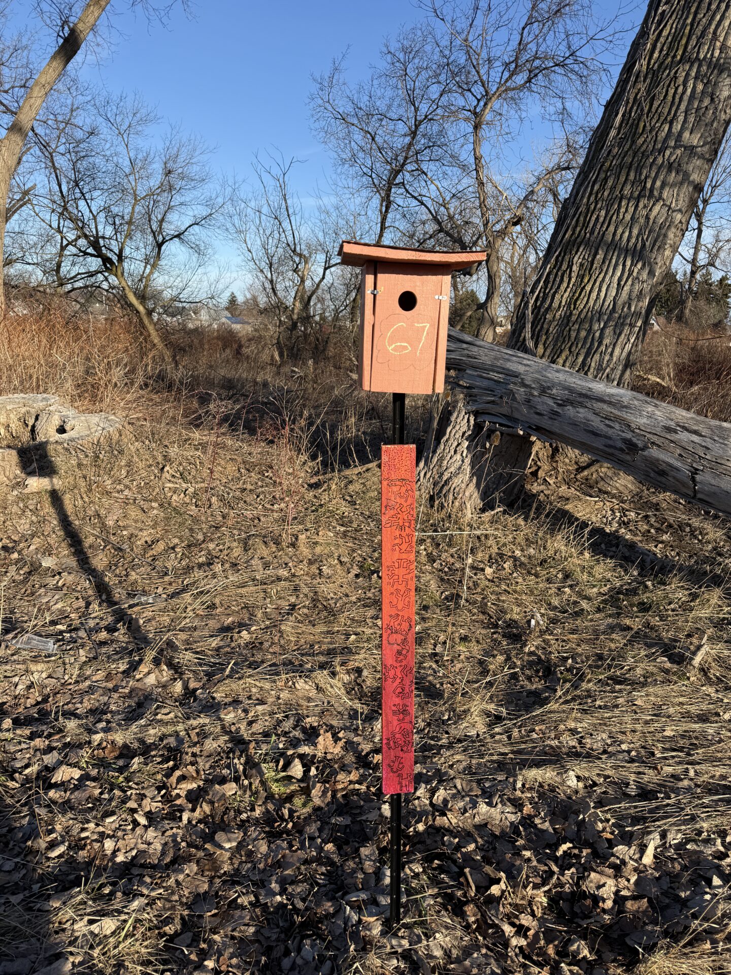 partner Story South Buffalo Bluebird Box