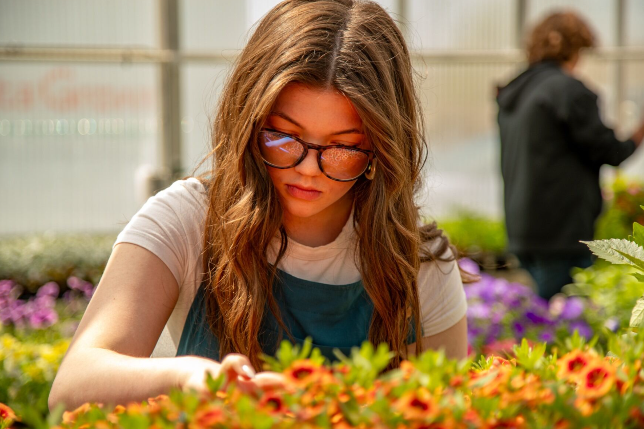 Blog Cooperative Minds Girl with Flowers