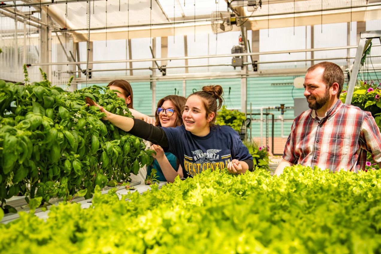Cooperative Minds Students Checking Crop