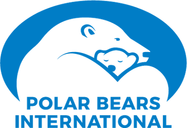 Polar Bear's International